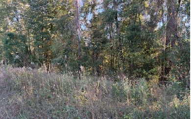 TBD SE Baxter Ln, Lake City, FL 32025 - photo 4