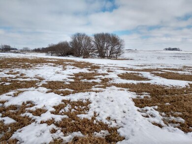 IMG_20200302_143316511_HDR