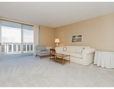 Imperial Towers unit 612, Chestnut Hill, MA 02467 - photo 5