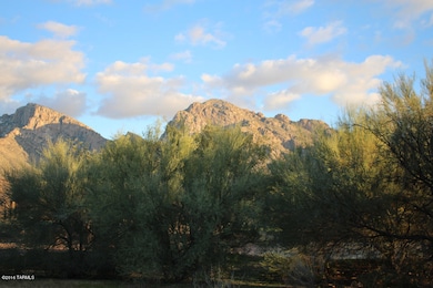 54 E Loch Lomond Place unit 4, Oro Valley, AZ 85737 - photo 4