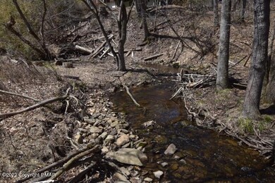 243 Beaver Dam Rd