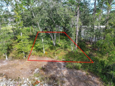 Lot (red lines approx)