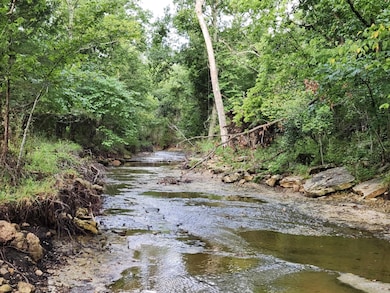 9551 C-Highway Ff, Mountain Grove, MO 65711 - photo 2