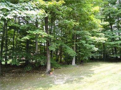 View. Many trees in rear of yard...