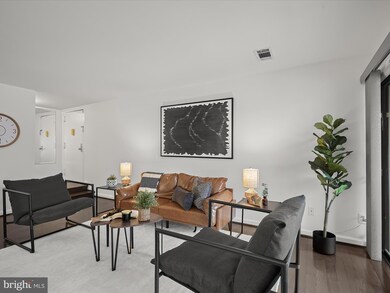 11248 Chestnut Grove Square unit 249, Reston, VA 20190 - photo 7