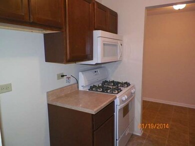 4 Oak Creek Dr unit 2506, Buffalo Grove, IL 60089 - photo 5