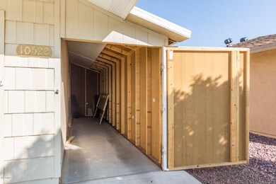 0005-Willow - 10522 (5)