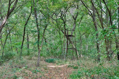 441 W Acres Rd, Whitesboro, TX 76273 - photo 3