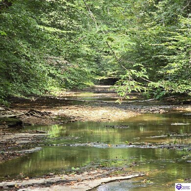 0 Jay Wheeler Rd unit HK25001489, Columbia, KY 42715 - photo 4