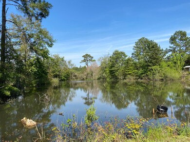 240 Old Blackshear Rd, Cordele, GA 31015 - photo 4