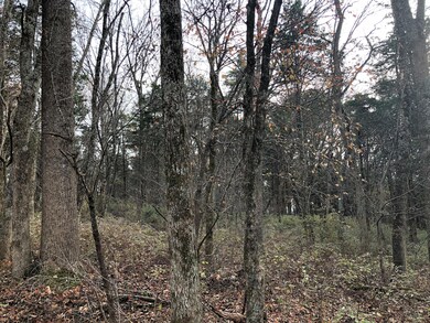 5.9 Ac. - Forest Grove Rd unit 703, Lexington, VA 24450 - photo 7