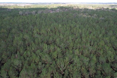 26 Acres-TBD Puncheon Creek Dr, Andrews, SC 29510 - photo 6