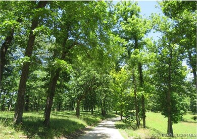 Timbering oaks