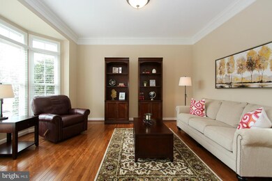 42596 Cochrans Lock Dr, Ashburn, VA 20148 - photo 4