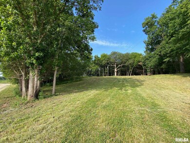 2395 Rolf Ln, Arenzville, IL 62611 - photo 7