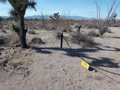 Par 439 Tom Mix Rd, Yucca, AZ 86438 - photo 7