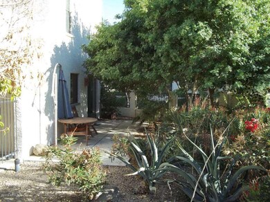 SIDE YARD