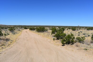 0 225th St E, Lancaster, CA 93544 - photo 3