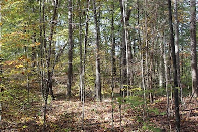 1 Gosser Ridge Spur, Russell Springs, KY 42624 - photo 5