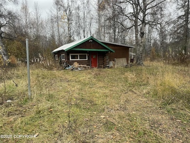 1291 E Hickok Rd, Trapper Creek, AK 99683 - photo 5