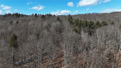 0 Patent Line Rd unit R1591298, Sidney, NY 13775 - photo 4