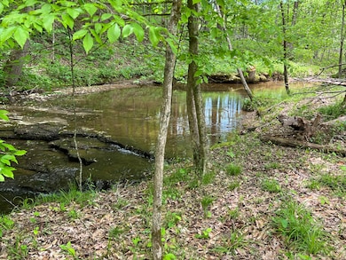 Mystic Rd, Edmonton, KY 42129 - photo 3