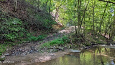 Driveway after creek