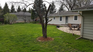 Back yard