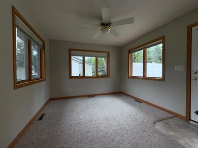 101 Lillie Ln SE, Pine Island, MN 55963 - photo 4