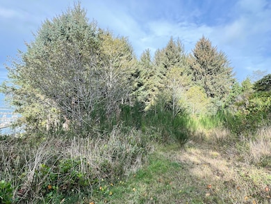 481 Appian Way, Winchester Bay, OR 97467 - photo 5