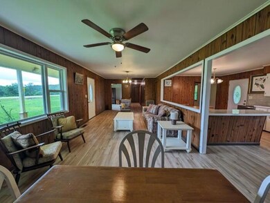 living room  (3)