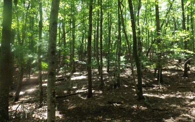 Additional View