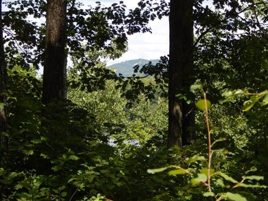 Lot 1 Main St, Springfield, NH 03284 - photo 6