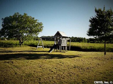 Yard/Garden.