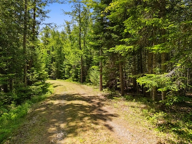 Part of Map 26 Lot 46 & 48 Mullins Bog Rd, Lincolnville, ME 04849 - photo 6