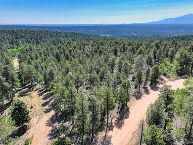 1002 Indian Creek Rd unit R0011770, Florissant, CO 80816 - photo 5