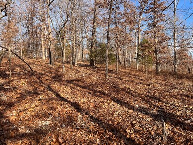 23 Dolly Cir, Bella Vista, AR 72715 - photo 6