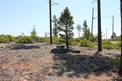 6288 Bull Elk Run, Show Low, AZ 85901 - photo 2