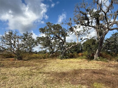 2 County Road 700, Brazoria, TX 77422 - photo 3