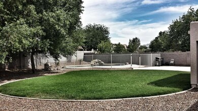 Huge Backyard