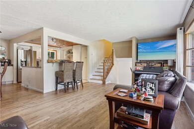 29314 Laurel Ln, Wickliffe, OH 44092 - photo 5