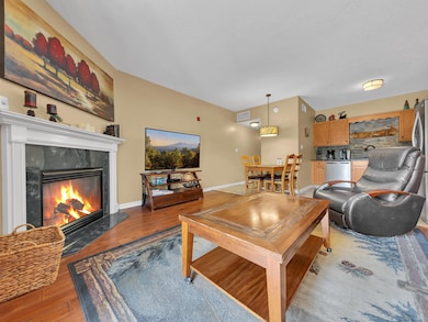 205 Ogle Dr unit 341, Pigeon Forge, TN 37863 - photo 6