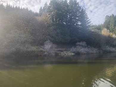 0 N Tenmile Lake unit 131722558, Lakeside, Or, OR 97449 - photo 6