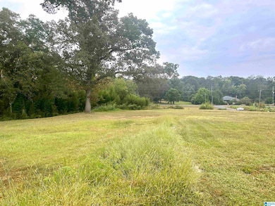 76 4th Ave, Lincoln, AL 35096 - photo 3