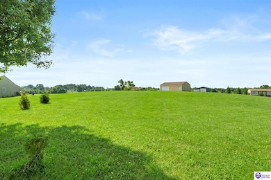 57 Stirrup Ct, Rineyville, KY 40162 - photo 4