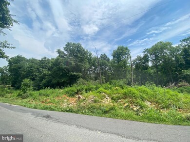 0 Goldmiller unit WVBE2011534, Bunker Hill, WV 25413 - photo 3