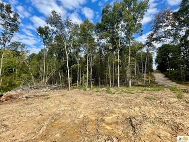 Lot 3 Ranchero Rd, Clarkson, KY 42726 - photo 4