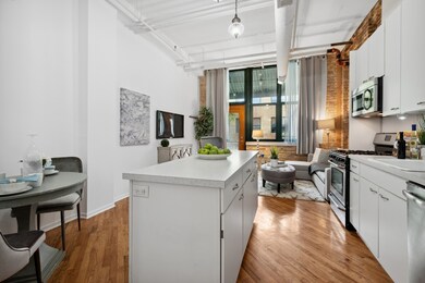 601 Linden Place unit 219, Evanston, IL 60202 - photo 7