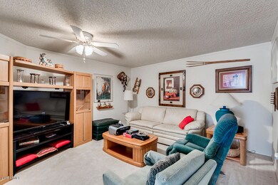 10650 W Pineaire Dr, Sun City, AZ 85351 - photo 6