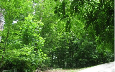 Additional View